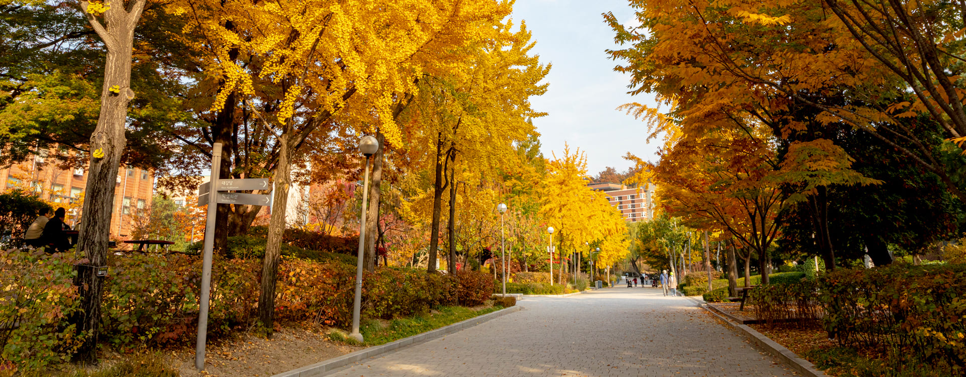 university-of-seoul